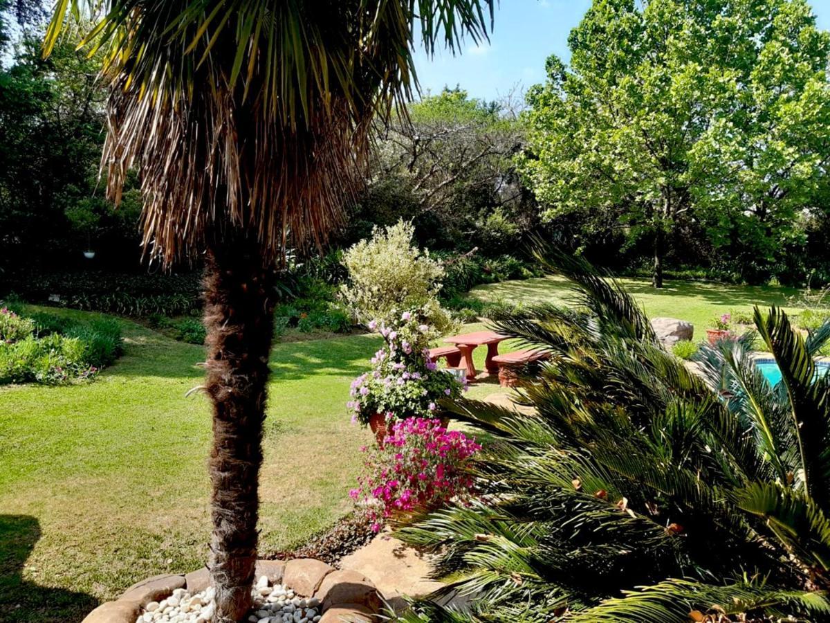 Ipe Tombe Guest -